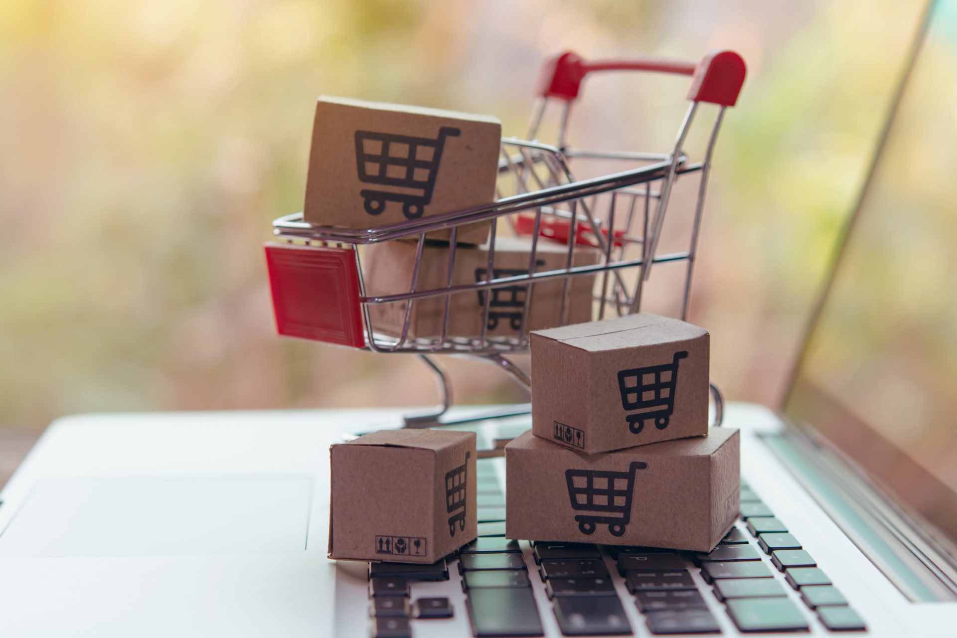 Per què necessites una botiga online?